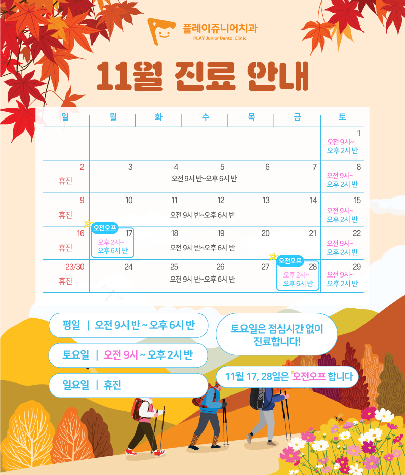 11월 진료일정